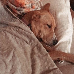 Meet your Posher, Marcylene